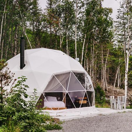 Les Diamants De L'Eternel Apartment Saint-David-de-Falardeau Bagian luar foto