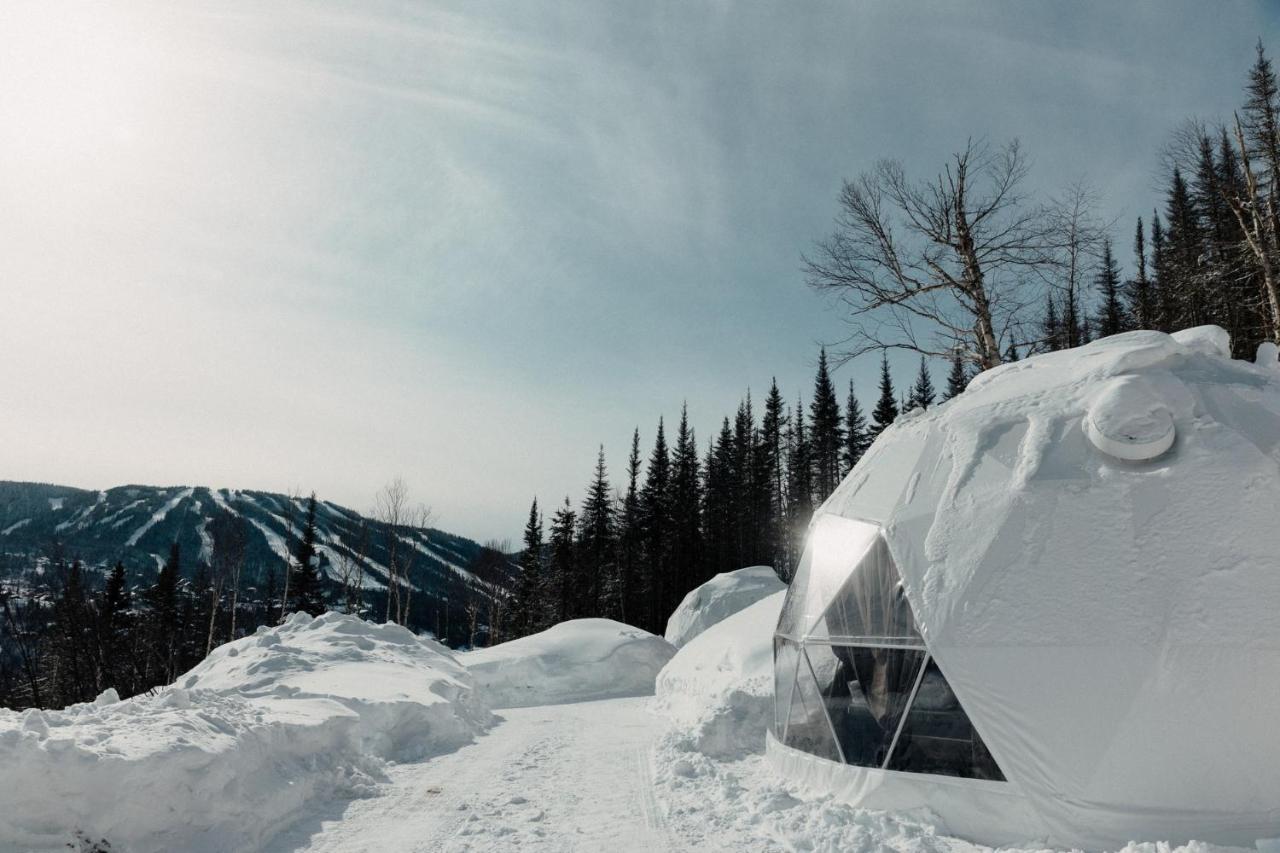 Les Diamants De L'Eternel Apartment Saint-David-de-Falardeau Bagian luar foto