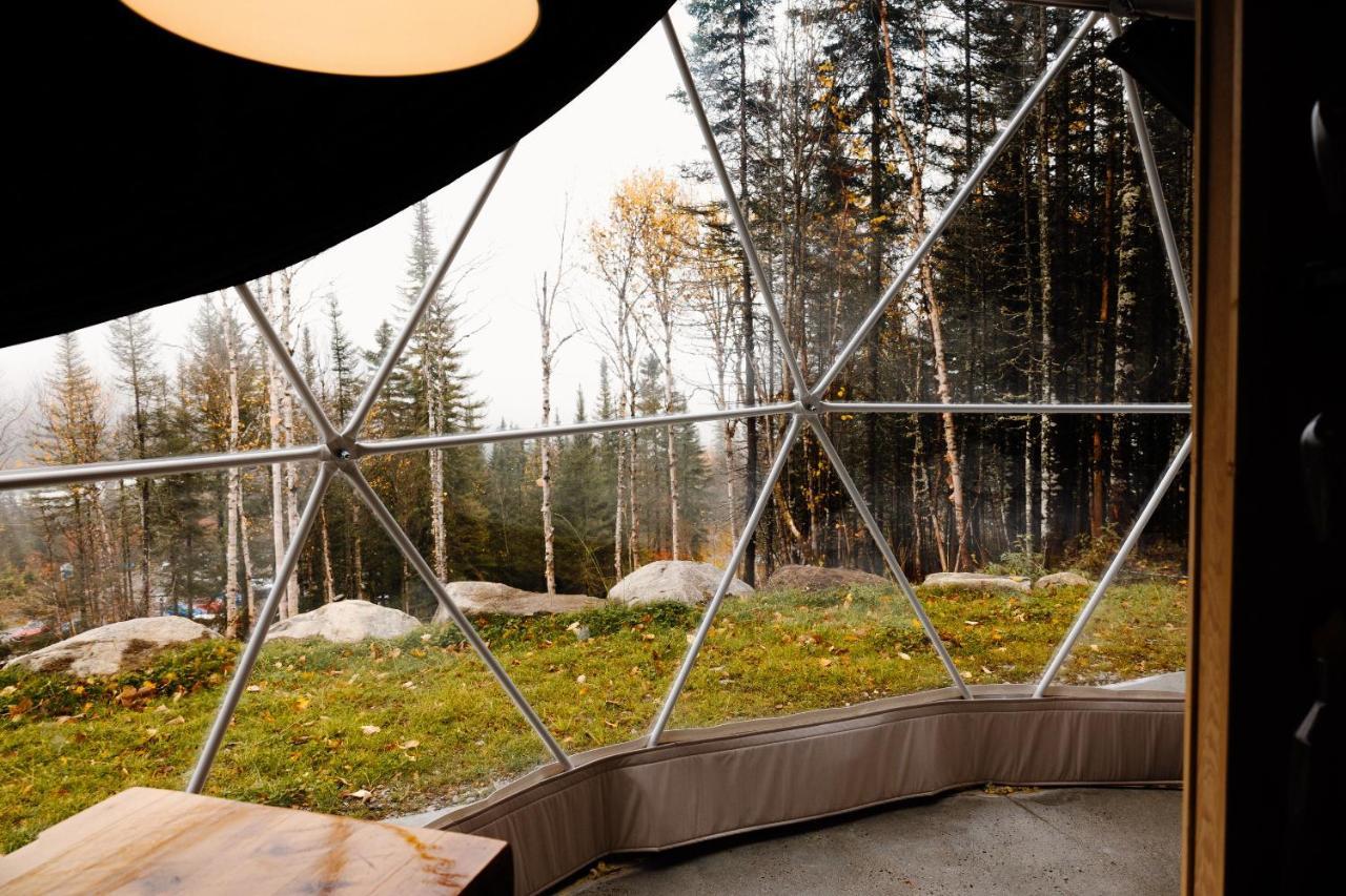 Les Diamants De L'Eternel Apartment Saint-David-de-Falardeau Bagian luar foto