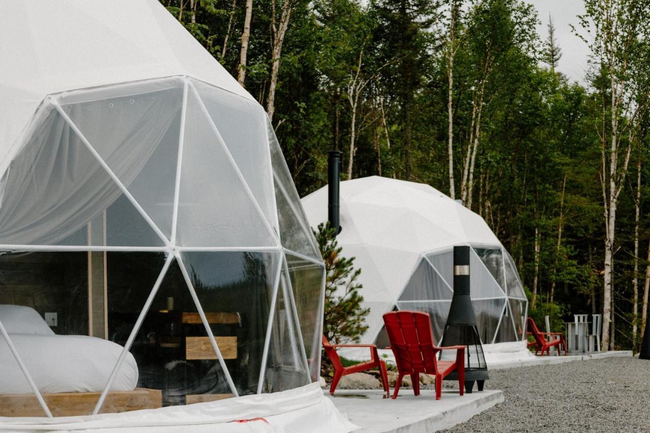 Les Diamants De L'Eternel Apartment Saint-David-de-Falardeau Bagian luar foto