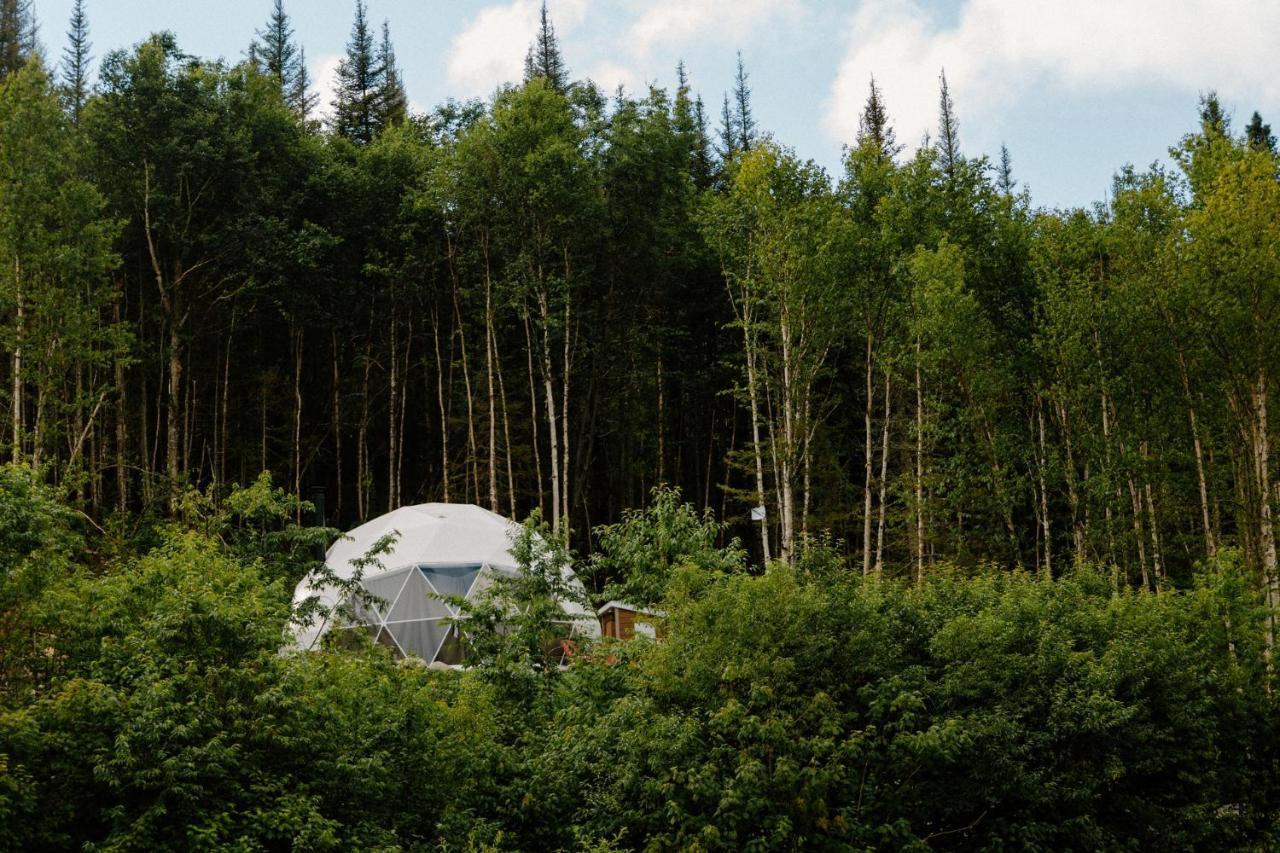Les Diamants De L'Eternel Apartment Saint-David-de-Falardeau Bagian luar foto